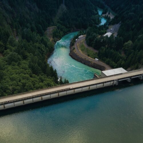 Storia di successo Frosio: ecco la nostra collaborazione con Frosio Next. I risultati dell'attivà SEO e Advertising.-1